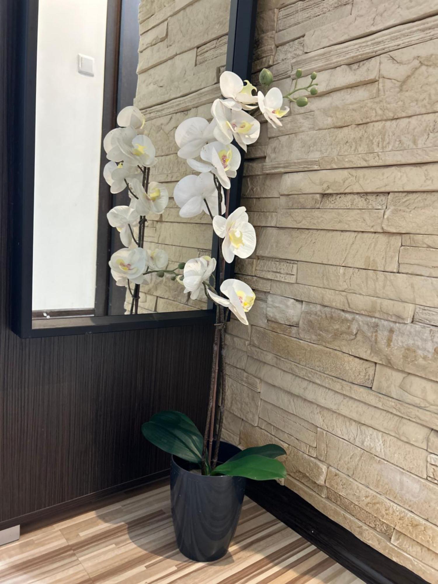 Apartamento Chlodna *